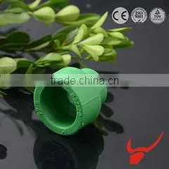 Standard Unique Lightweigh Health Recyclabled of bend