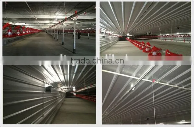 design chicken double floor shed poultry farm