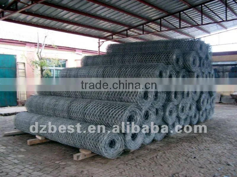 gi chicken wire mesh