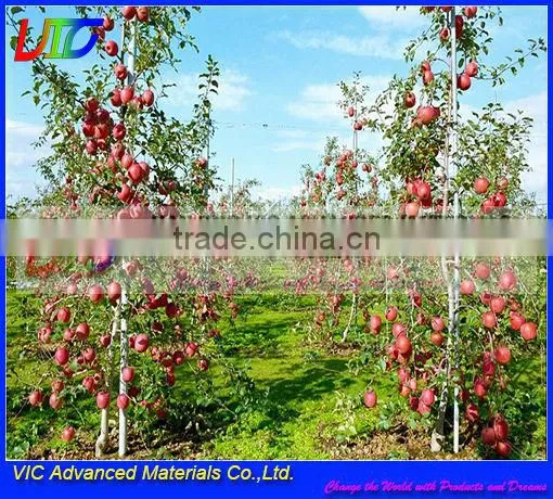 Fiberglass Garden Plant Support,Corrosion Resistant FRP Tree Stake,High Strength,Reasable Prices