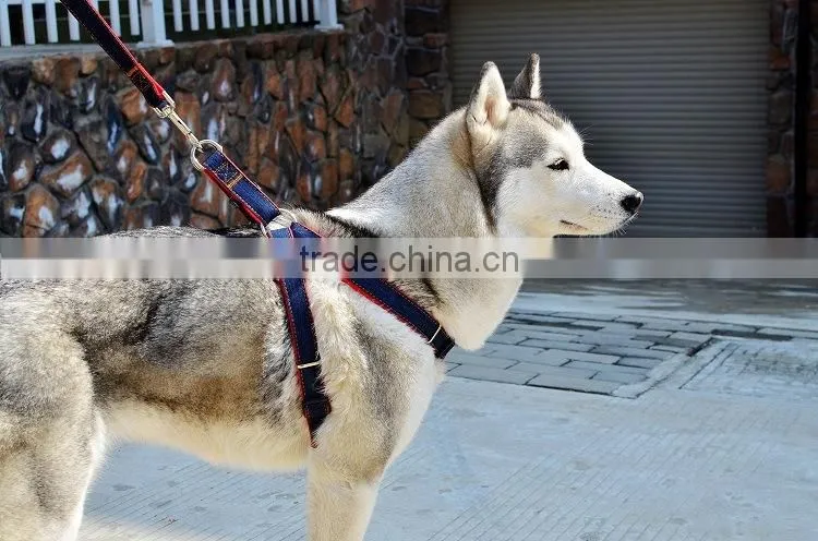 Made in China Luxury Small Medium Large Dog Leashes