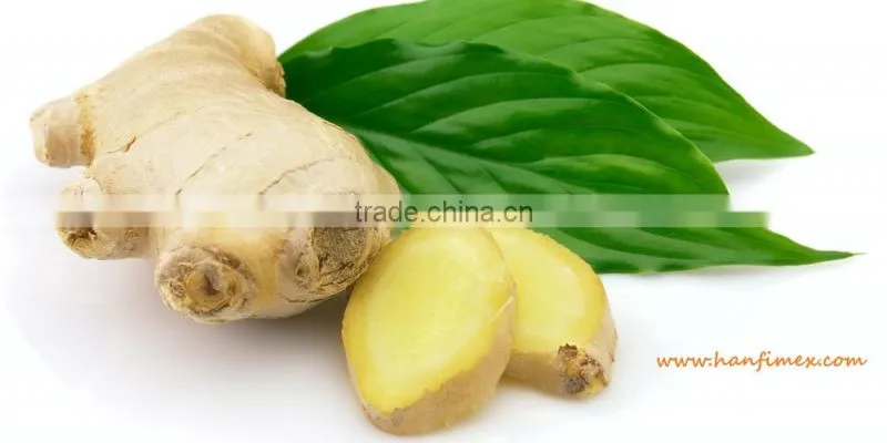 ORGANIC FRESH GINGER VIETNAM FOR GINGER SLICES