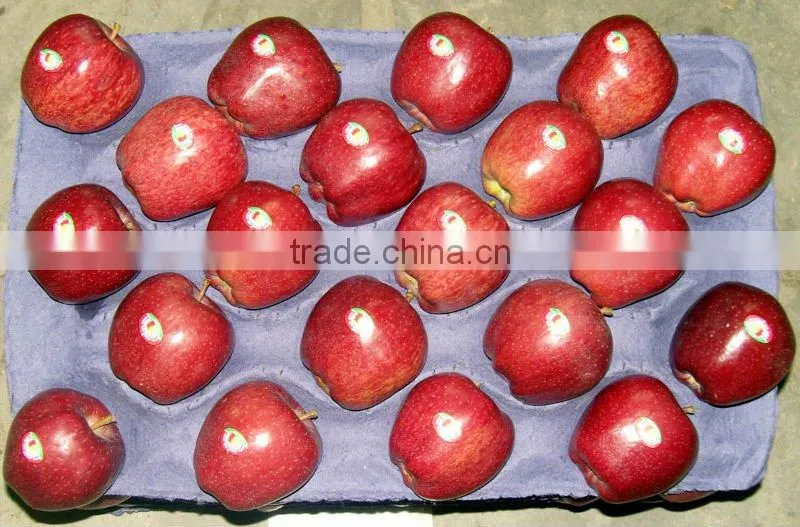 red delicious apple