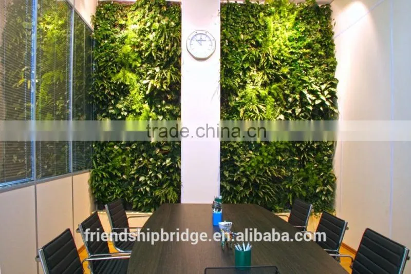 Assorted Tree Plant Seedlings for Vertical Planting Walls and Gardens
