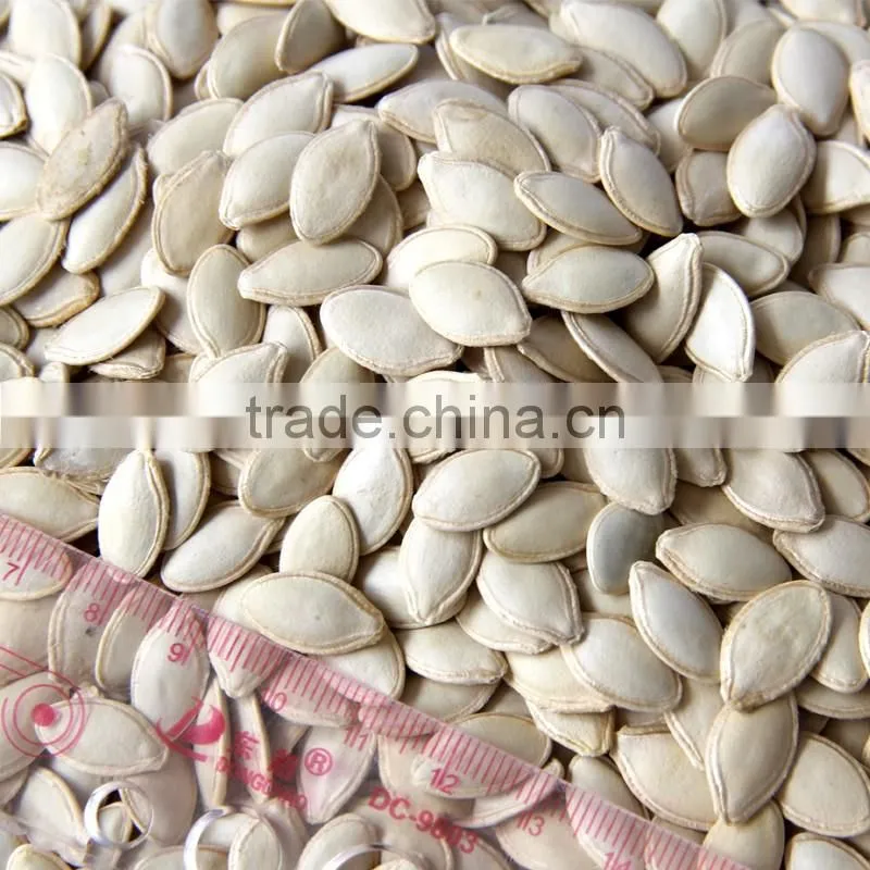 benefits of pumpkin seeds Wholesale snow white / shine skin pumpkin seeds competitive price