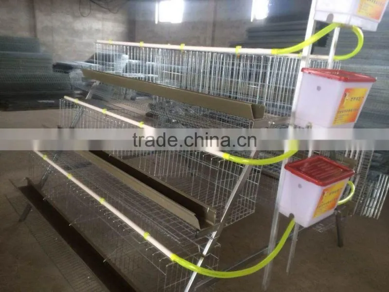 FRD 2016 Poultry farm equipment automatic battery design chicken egg layer cages /bird cage for sale/decorative bird cages