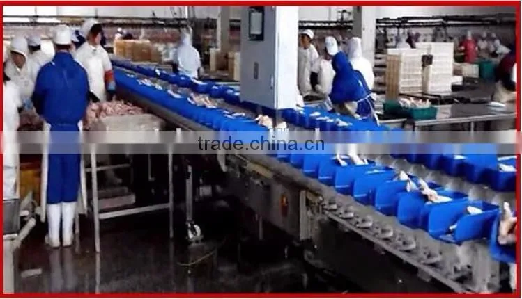 Over 20 years manufacturer and Focusing on drumstick and frozen shrimp Automatic weight grader
