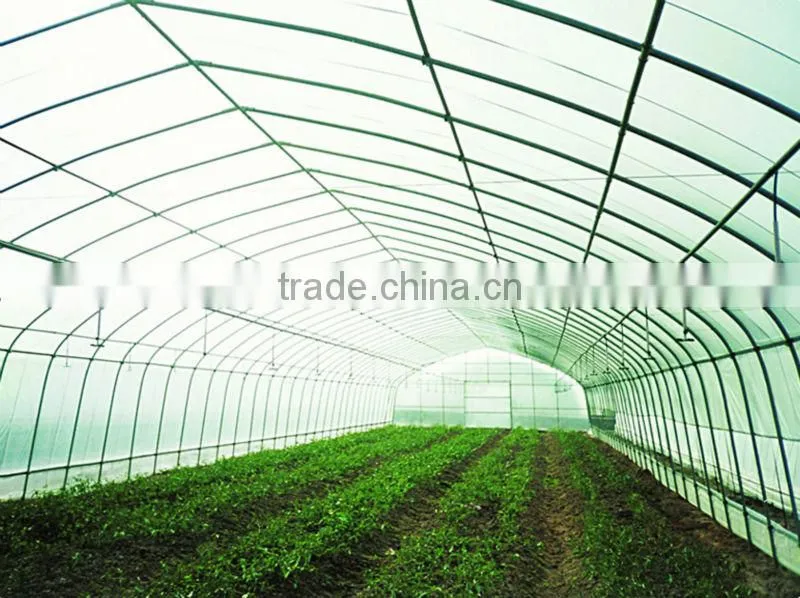 Greenhouse Tent