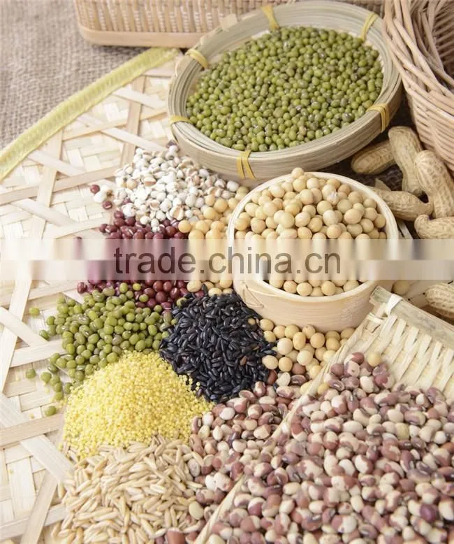 100-2000g Automatic Particle and Grain Racking Machine