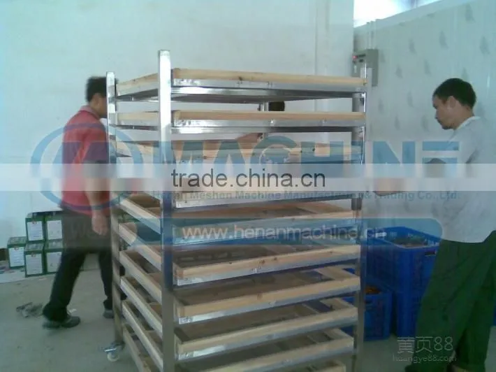 Most energy saving dried meat machines fruit drying oven cocoa drying machine