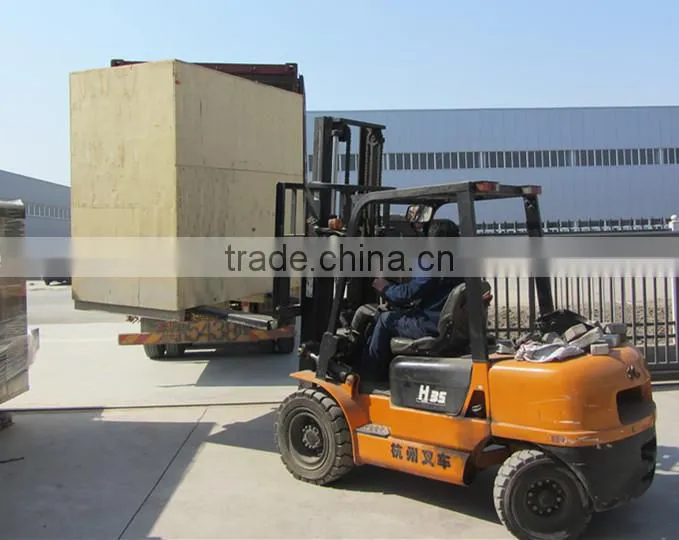300kg per hour Frozen French Fries Production Line Processing Machines