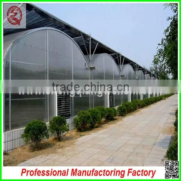 commercial plastic vegetable greenhouse for sale with seedbed