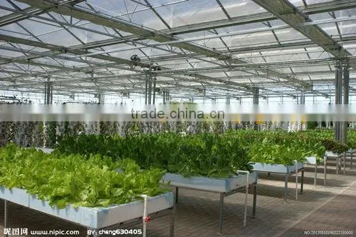 PE material green plant protect sun shade netting