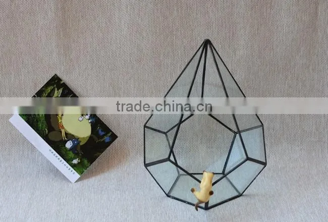 Glass vases terrarium ornament indoor plant greenhouse handblown glass terrarium