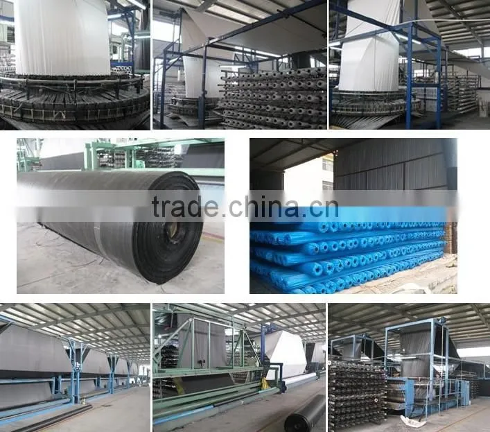 Fish tank and swim pool hdpe geomembrane liner hdpe geomembrane geomembrane