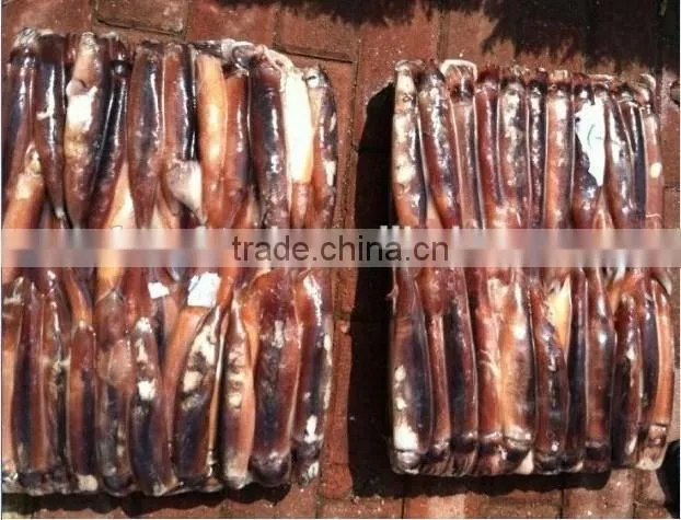 Frozen illex argentinus squid