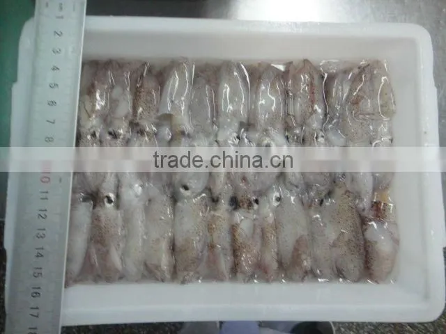 new season block frozen seafood/recipes for squid