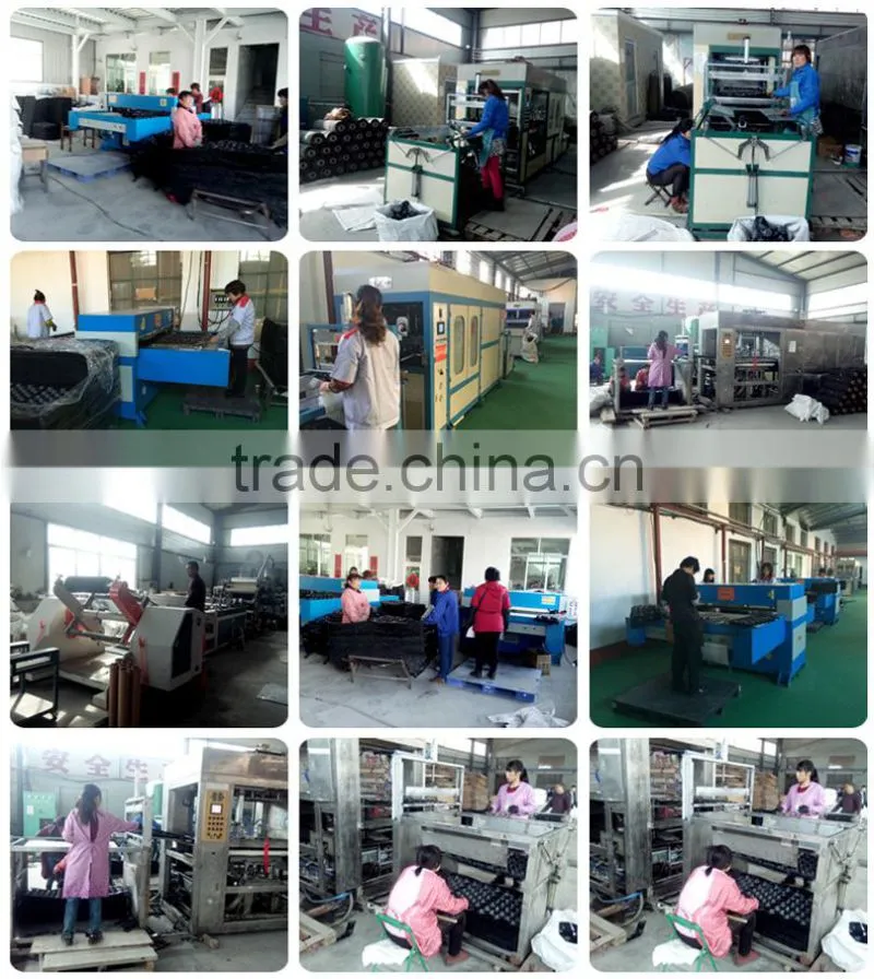 Food Packaging Container