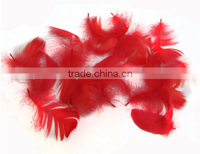 Wholesale multicolor decotation goose feather for party and wedding,5-8cm import from China