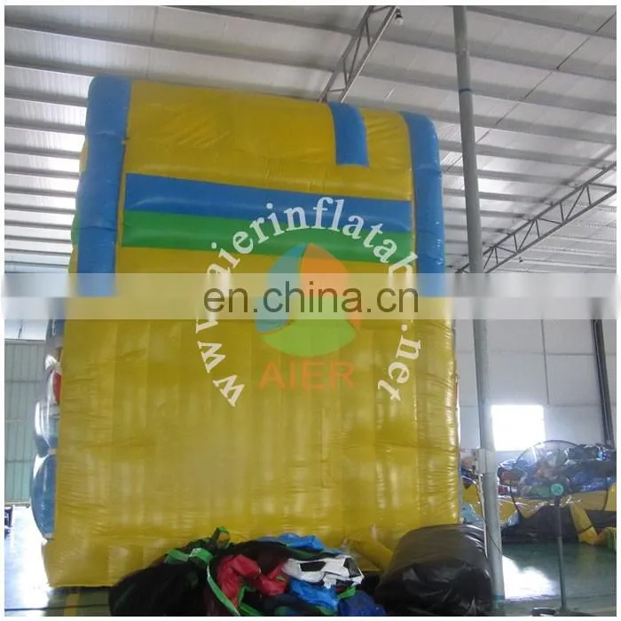 Commercial Quality Inflatable Slide