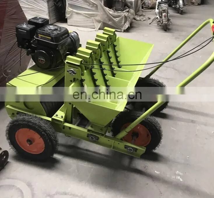 Hot Selling 6 Row Garlic Planter/tractor driven garlic seeder with wholesale price