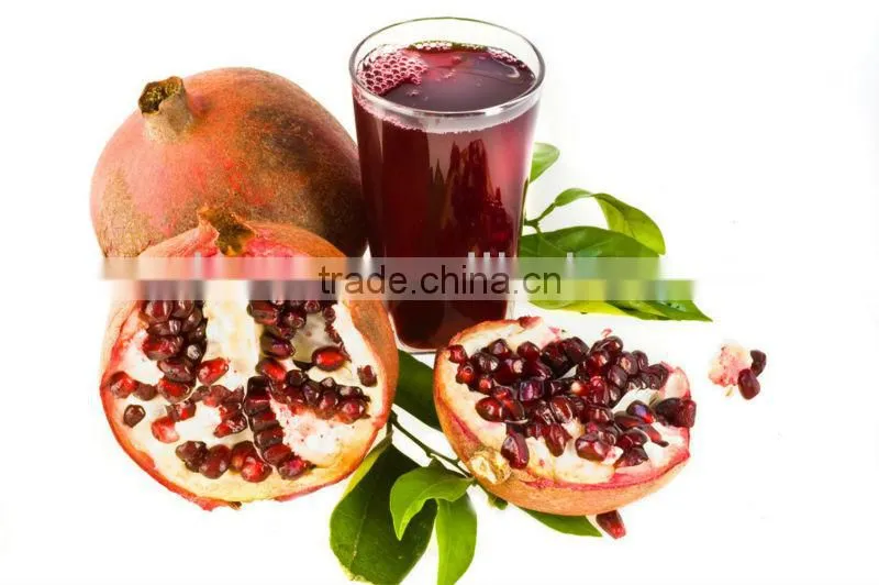 Hot sale ! Grape juicing machine manufactured in Wuxi Kaae