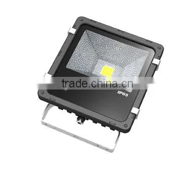 IP65 Aluminum 20 Watt Led Floodlight 20W