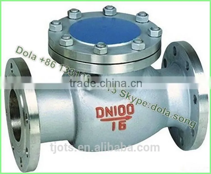 CV-DS012 EN/DIN pn10/16 WCB/stainless steel swing check valve