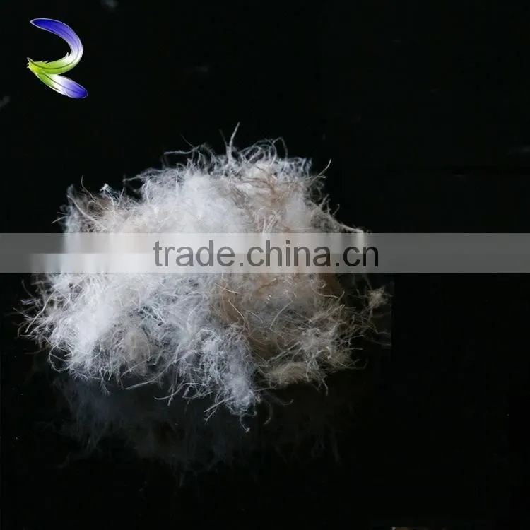 Wholesales high quality down feathers wholesale gray duck feather