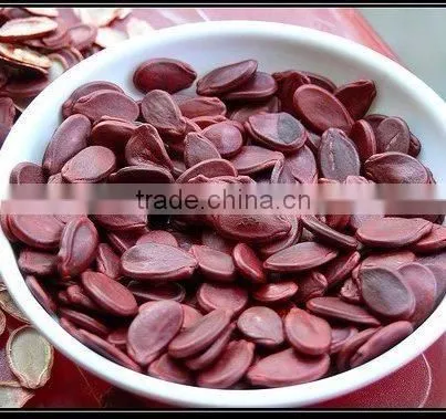 Roasted Watermelon Seed