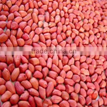 Red Skin Peanut Kernels 50/60