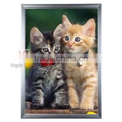 outdoor led advertising slim display light box
