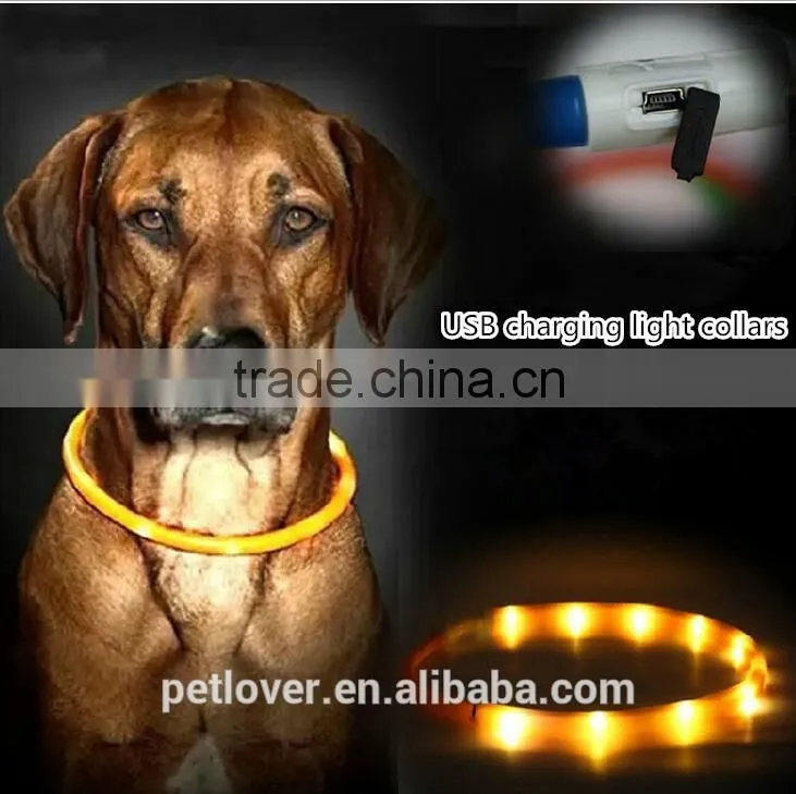 Hot selling LED dog collar
