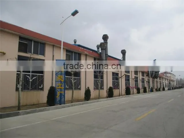 Shandong Lipeng Co., Ltd. company overview - view 4
