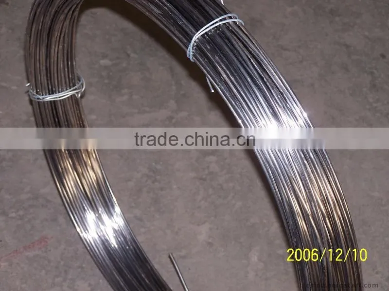 SS Brush Wire For Sales