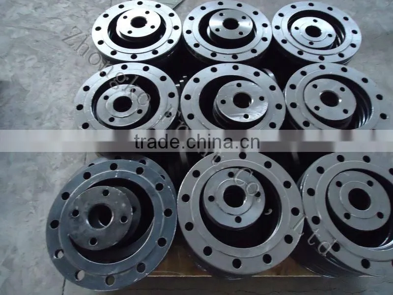 China Forged Steel Pipe Flanges