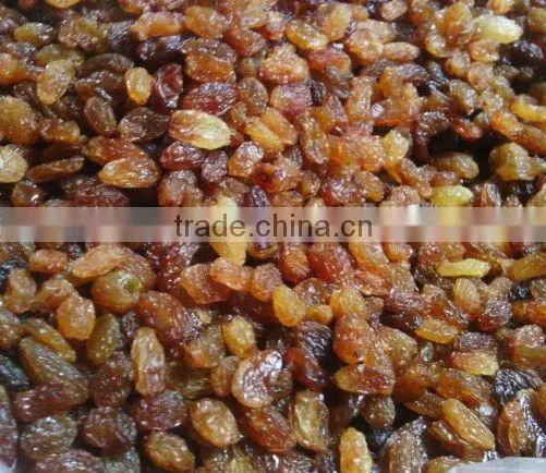 Sultana Raisin