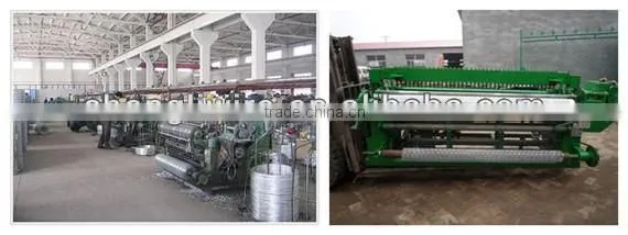 Inox welded wire mesh