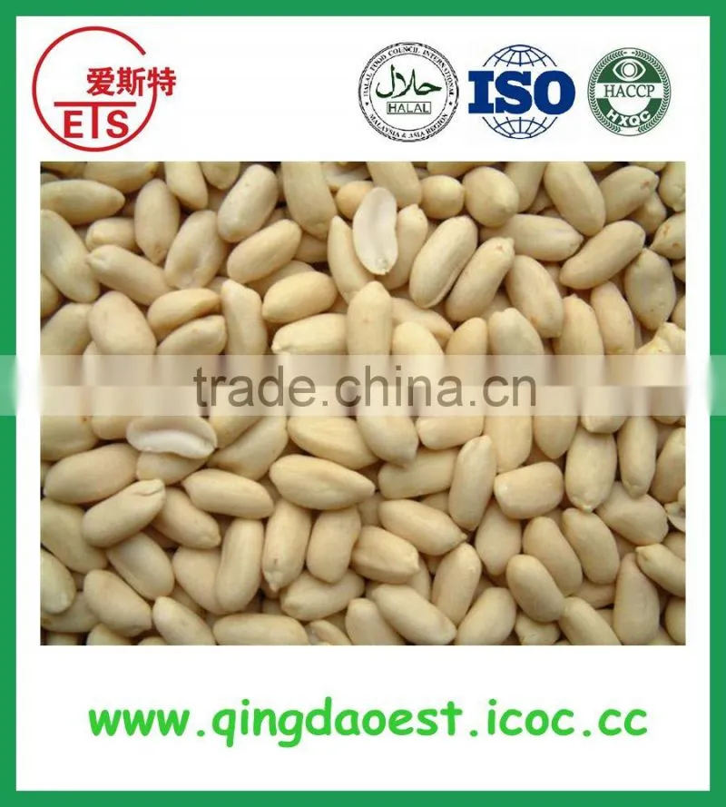 new stock blanched peanut kernels ready for export