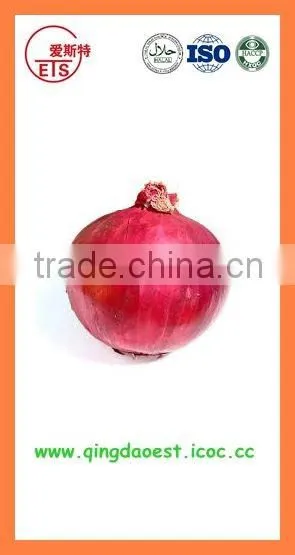 Bulk chinese Best quality fresh red onion