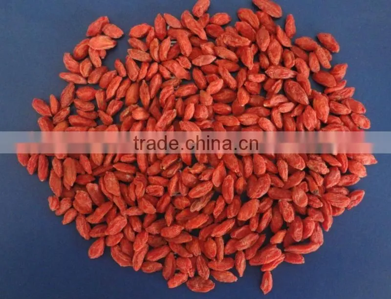 tibetan goji berries
