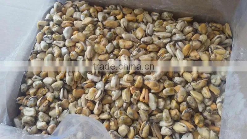Frozen mussel boiled meat seafood price from seafood company