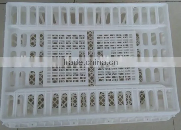 plastic turnover box for chickens
