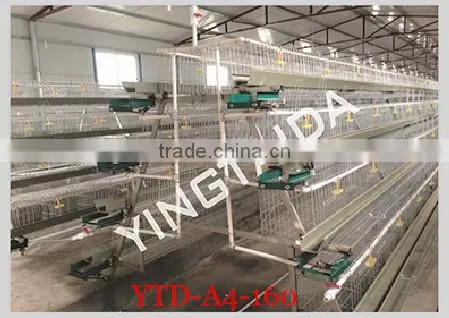 The latest design layer chicken cages
