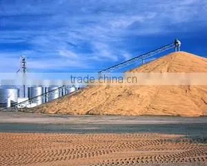 40 - 50t/h paddy rice belt conveyor for grain