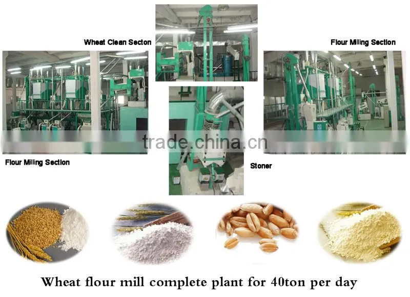 6F2540 Flour Mill machine