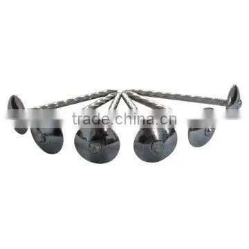 common iron nail
