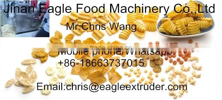 Snacks processing line