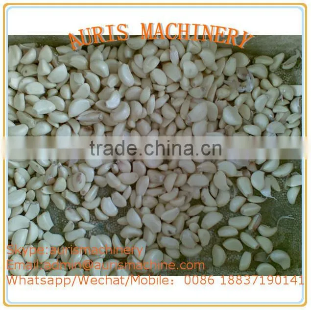 Hot selling Stainless steel small garlic peeling machine on sale