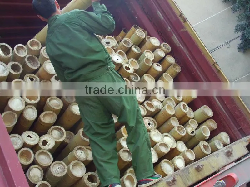 Garden Bamboo Trellis